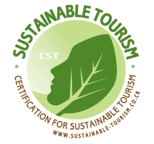 CST-Logo
